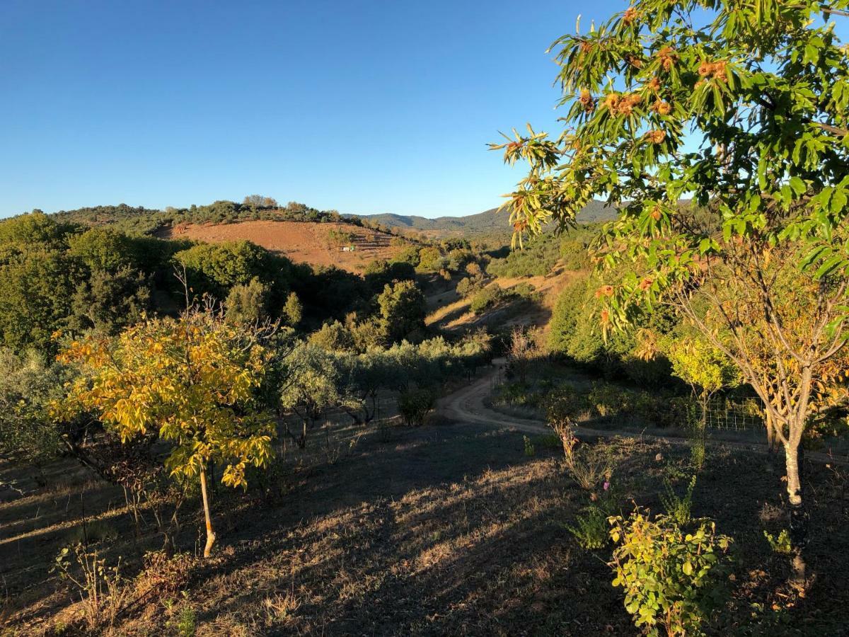 Casa Rural En Constantina Bagian luar foto